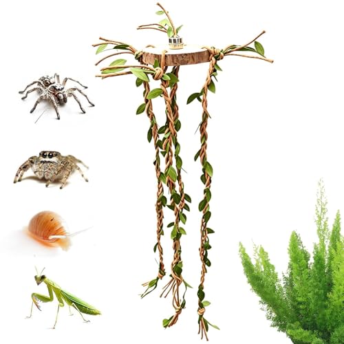 Jumping Spider Enclosure Accessories – Wood Cotton Rope 6x6x1cm 36cm Vine Set | Reptile Cage Climbing Toys for Habitat Enrichment | Natural Terrarium Decoration for Jumping Spiders Lizard