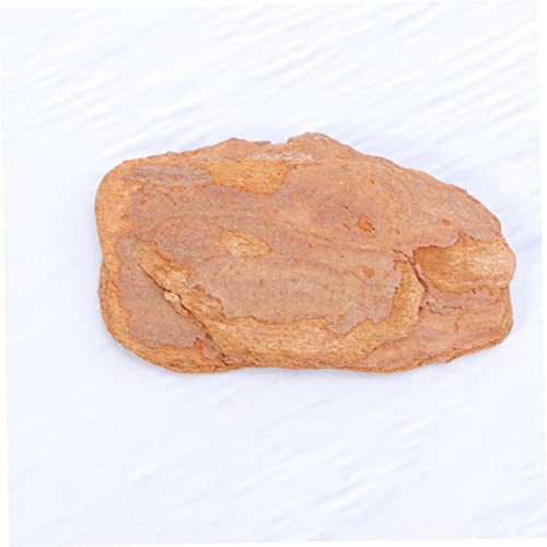 DOITOOL 1pack Natural Pine Bark Cushion for Reptile Box for Lizard Chameleon and Habitat Decor Provides Natural Environment Great for Crawlers