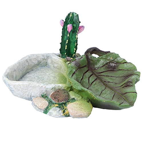POPETPOP Reptile Water Dish: Cactus Shape Resin Reptile Feeding Dish for Bearded Dragon, Lizard, Spider