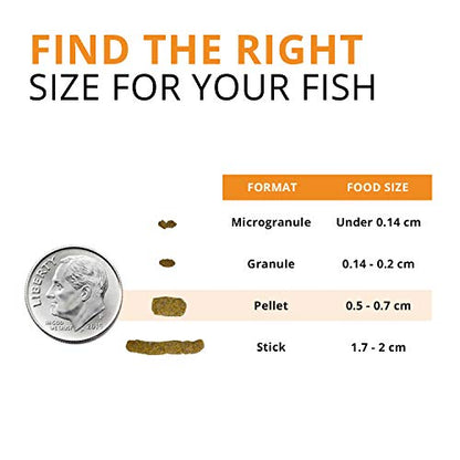 Fluval Bug Bites Goldfish Fish Food, Pellets for Medium to Large Sized Fish, 3.53 oz, A6584 (Pack of 2) - size: 3.5 Ounce (Pack of 2)