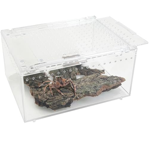 Reptile Terrarium Enclosure 8"x6"x4" Acrylic Tarantula Breeding Box Magnetic Hermit Crab Habitat Transparent Jumping Spider Cage for Insect Snail Amphibians Sling Isopods