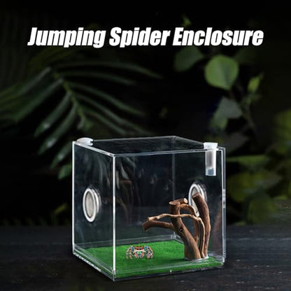 Acrylic Jumping Spider Terrarium - Reptile Growth Clear Container, Clearer View Small Pet Enclosure, Practical Convenient Spacious Habitat, Durable Housing Design Versatile Use | for Snails Lizards Be - color: Ash Green
