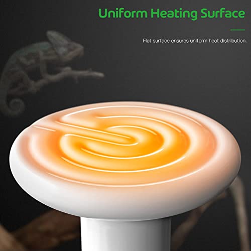 Simple Deluxe 100W Reptile Heat Lamp Bulb No Light Ceramic Heat Emitter Brooder Coop Heater for Amphibian Pet & Incubating Chicken, Snake, Lizard, Spider, 2-Pack,White - size: 2 Pack, style: White