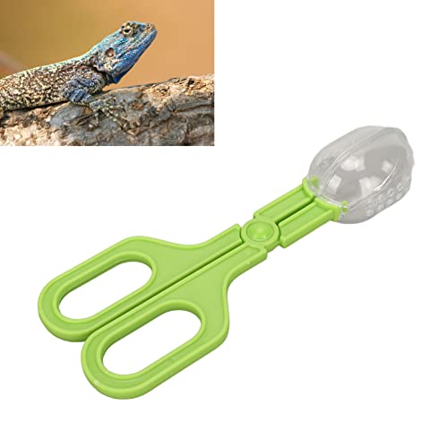Reptile Feeding Clamp Poop Tongs Reptile Feeding Tool Reptile Poop Scoop with Vents for Tortoise Lizard Spider (Green) hamster poop scoop