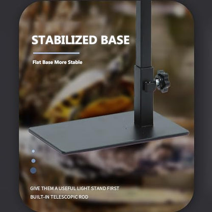 Adjustable Reptile Lamp Stand Floor Light Holder, Black 40 to 60Cm Heat Lamp Stand with Single Hook for Reptile Amphibian Terrariums Tortoise