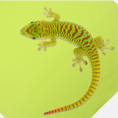 Foldable Reptile Carpet Mat for Terrarium Substrate Tailored Leopard Gecko and Tortoise Bedding Lightweight Washable Liner for Bearded Dragon Lizard Snake Turtle Habitat