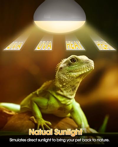 Reptile Heat Lamp Bulbs -100W UVA Natural Daylight Heating Lamp Basking Bulb for Bearded Dragon, Basking Spot Floodlight Light for Reptiles, Lizard, Turtle, Snake Bathroom, Plants,Chickens Pets,2 Pack - color: Daylight