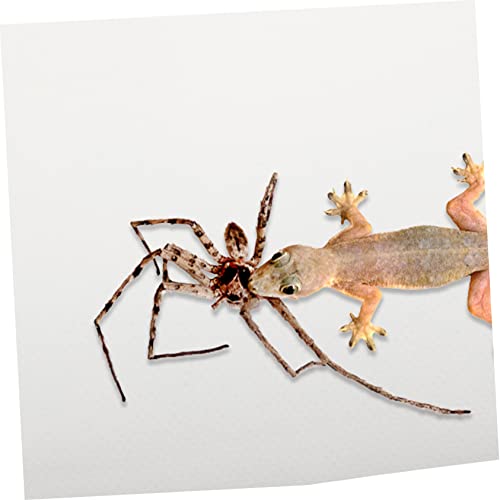 BESPORTBLE Reptile Carpet Mat for Bearded Dragon Leopard Gecko Lizard and Snake and Shape Terrarium Substrate Liner Easy to Cut Washable for Reptile Habitats