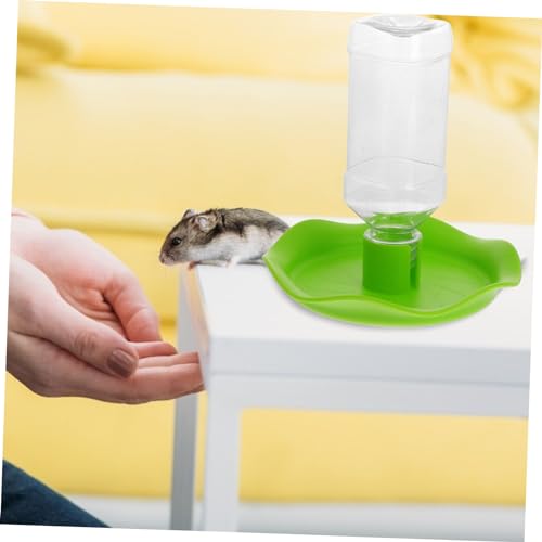 Totority 1Pc Automatic Water Feeder for Reptiles Durable Pet Water Dispenser Drinking Fountain for Tortoise and Lizard Easy to Design for Gecko Tanks and Terrariums