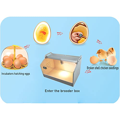 Intelligent Brooder Box Chicken brooder Quail cage for Newborns Chicks Ducks Birds Small Animals Manual Egg Incubators Poultry Heater