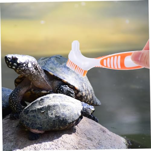 GANAZONO 3pcs Turtle Shell Cleaning Brush Portable Turtle Clean Brush Mud Remover - color: Orange