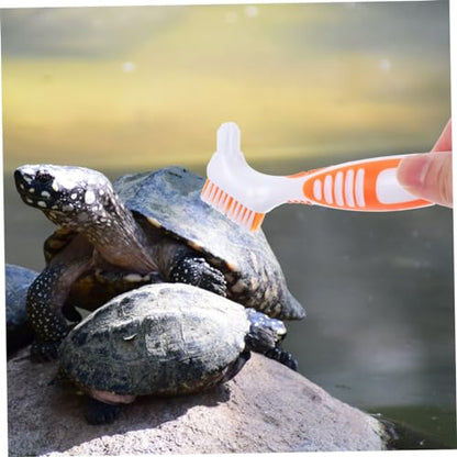 GANAZONO 3pcs Turtle Shell Cleaning Brush Portable Turtle Clean Brush Mud Remover - color: Orange