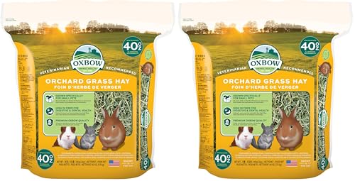 Oxbow Orchard Grass Hay for Small Pets – All-Natural Long Strand Fiber Hay for Rabbits,Guinea Pigs,Chinchillas,and Hamsters – Supports Digestive Health and Enrichment-– 40 oz Bag,(Pack of 2) - size: 40 Ounce (Pack of 2)