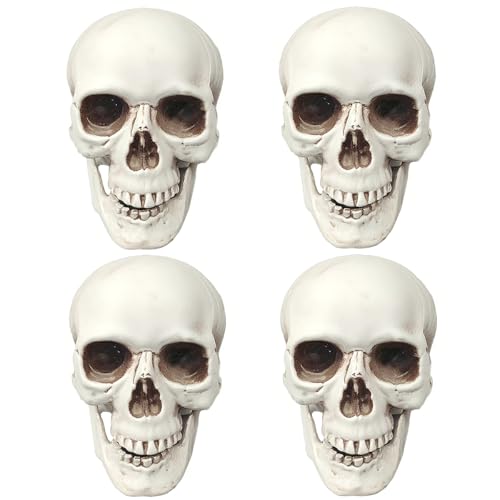 CUNHUYSmall Skulls Halloween Decor, 5 Inch Plastic Fake Skeletons, Mini Skulls for Crafts Outdoor Halloween Decorations, Realistic Miniature Human Skull Heads (4)
