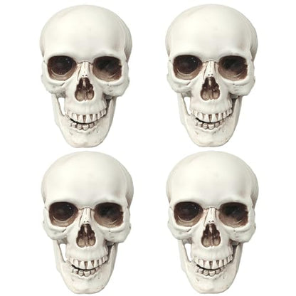 CUNHUYSmall Skulls Halloween Decor, 5 Inch Plastic Fake Skeletons, Mini Skulls for Crafts Outdoor Halloween Decorations, Realistic Miniature Human Skull Heads (4)