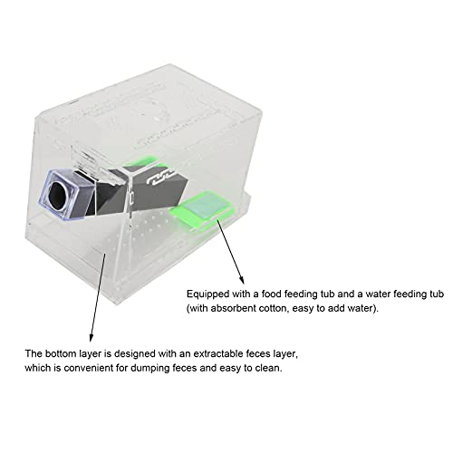 Acrylic Cricket Feed Box with Observation Window for Reptile Terrarium Insect Care Kit, Non-Toxic Material for Easy Cleaning, Tank Box for - size: S