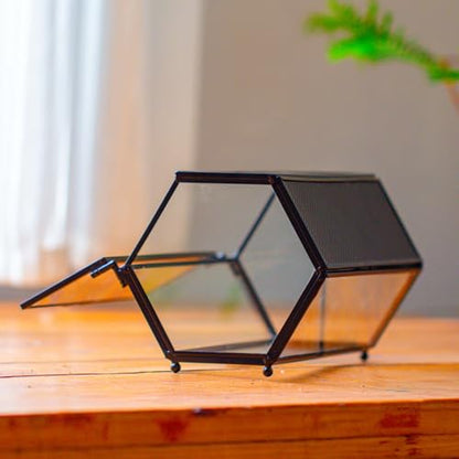NCYP Small Glass Enclosure Terrarium with Mesh & Door for Tiny Beetle - Hexagon Jumping Spiders Vented Glass Terrarium 7.87'' x 4.52'' x 3.93'', Black (Plants Not Include) - size: 7.87'' x 4.52'' x 3.93''