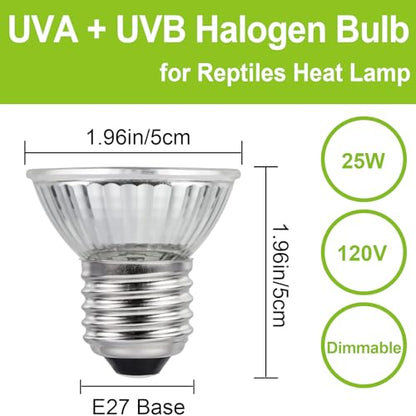 UVB UVA Reptile Light Bulb 25W Bulb for Reptiles and Amphibians Tanks, Turtle Bearded Dragon Lizard Cages Frogs Heat Lamp Replacement Bulb, Pack of 6