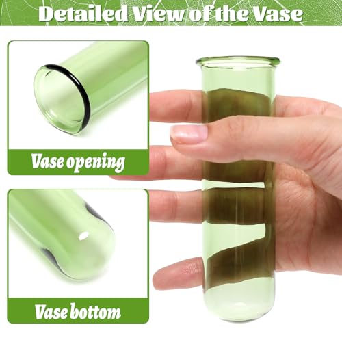 Glass Plant Propagation Station with 5 Test Tubes Colorful Planter Vase Birthday Gifts for Women in Wooden Stand - color: Green