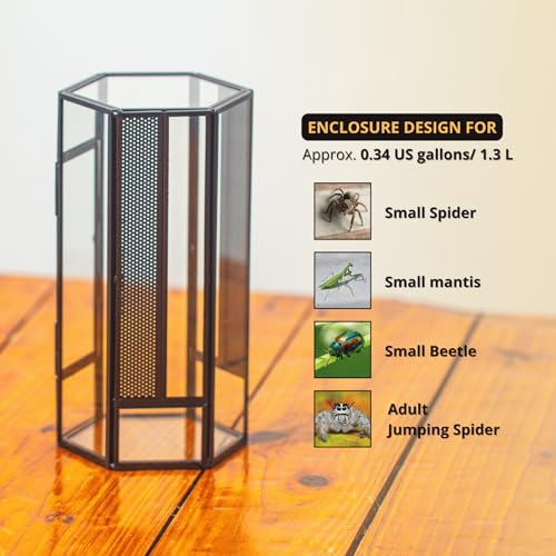 NCYP Glass Enclosure Terrarium with Mesh and Door for Small Spiders - Hexagon Shape, Small Mantis Vented Glass Terrarium 4.1'' x 3.6'' x 7.8'', Tabletop Decor, Black (Plants Not Include) - size: 4.1'' x 3.6'' x 7.8''