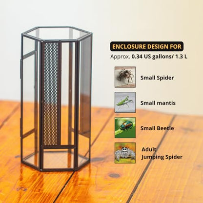 NCYP Glass Enclosure Terrarium with Mesh and Door for Small Spiders - Hexagon Shape, Small Mantis Vented Glass Terrarium 4.1'' x 3.6'' x 7.8'', Tabletop Decor, Black (Plants Not Include) - size: 4.1'' x 3.6'' x 7.8''