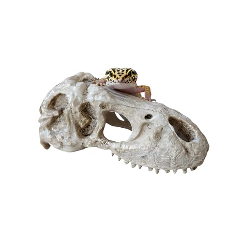 CTWPets T-Rex Skull Fossil Head Tank Ornament – Large Dinosaur Bone Decoration for Fish Tanks, Lizard Terrariums, Gecko or Reptile Enclosures – 5.7" Resin Jurassic Statue for Aquascape & Pet Habitat