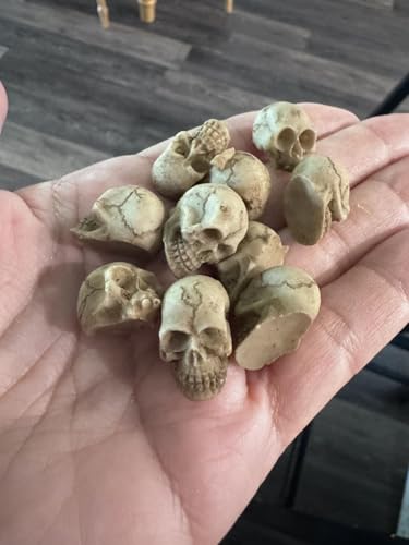 YZHZOM 20pcs mini Resin Skulls, Halloween mini Figures Skull Head Decor Halloween Skeleton Decorations Tiny Skulls Miniatures