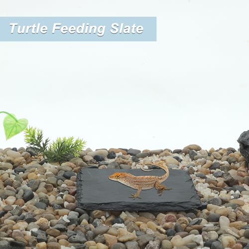 Reptile Basking Platform, Square Tortoise Habitat Slate, Turtle Feeding Slate, Habitat Decor Accessories for Crested Gecko Lizard, Gray Black