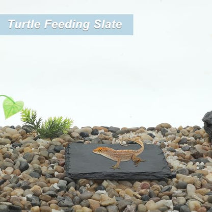 Reptile Basking Platform, Square Tortoise Habitat Slate, Turtle Feeding Slate, Habitat Decor Accessories for Crested Gecko Lizard, Gray Black