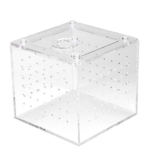 Acrylic Reptile Breeding Box, Transparent, Sturdy and Durable Terrarium Enclosure with Ventilation Holes, Safety Lock and Feeding Hole for Snakes, Spiders, Lizards and Other Small