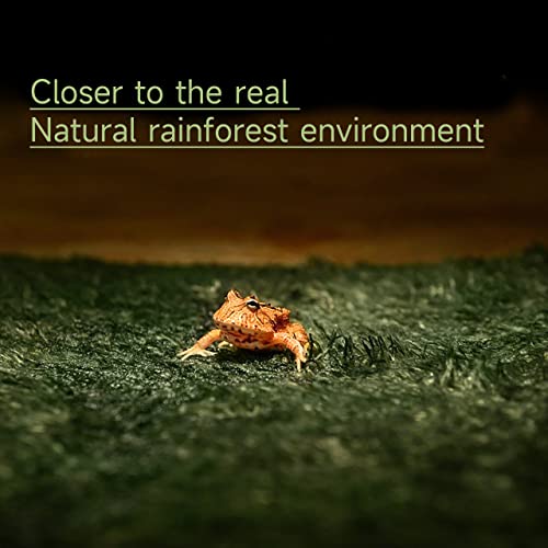 Moss Reptile Carpet, Raise Box Humidity, Fibre Mat for Pet Box Lining, Rainforest Reptile Supplies for Turtles, Lizards, Chameleons, Snakes, Horned Frogs, Bearded Dragons (17" x 24" x 1 Pack)