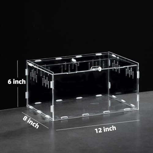 Jumping Spider Terrarium, Reptile Tank Habitat with Locking Acrylic Feeding Box for Tarantula, Isopod, Gecko, Snake (12x8x6)