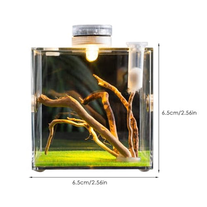 Reptile Growth Terrarium - Acrylic Jumping Spider Clear Container, Clearer View Small Pet Enclosure, Practical Convenient Spacious Habitat, Durable Housing Design Versatile Use | for Snails Lizards Be - color: Aqua Blue