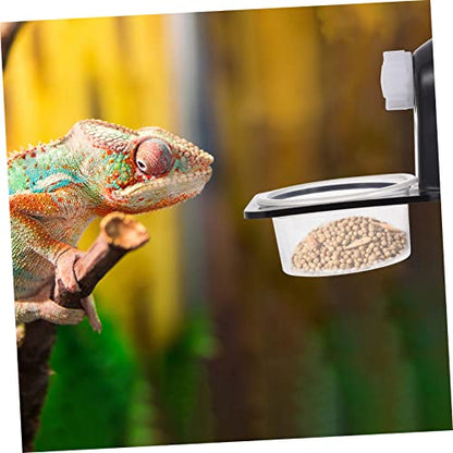 Toddmomy 1set Reptile Food Bowl Cup for Gecko and Lizard Material Feeder Waterfall for Escape Worm Dish