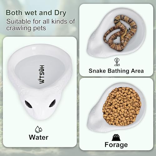 Reptile Water Dish - Snake Water Bowl, Gecko Food Cups, Crested Gecko Feeding Dish, Tortoise Food Bowl, Stable Resin Design for Small Reptiles, Perfect for Terrariums and Enclosures (White) - color: white
