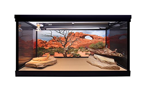 Reptile Habitat Background, Arch with Tree, 15.75" x 36"