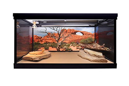 Reptile Habitat Background, Arch with Tree, 15.75" x 36"