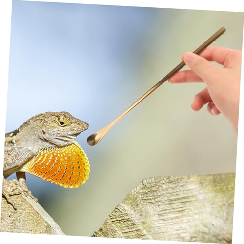 Mikikit 3Pcs Reptile Food Feeding Tool Spoon for Gecko Lizard for Wet Food Mixing Stirring Durable Pet Supply for Easy Feeding