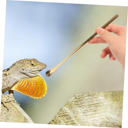 Mikikit 3Pcs Reptile Food Feeding Tool Spoon for Gecko Lizard for Wet Food Mixing Stirring Durable Pet Supply for Easy Feeding