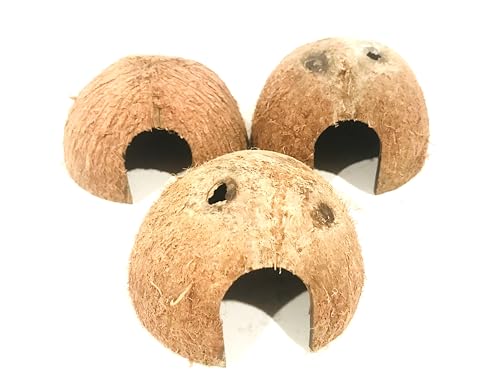 Durable 3 pc Coconut Hide, Natural Home for Guppies, Tetras, Betta Fish, Shrimp, Pleco, Perfect for Your Aquarium, Perfect Hideout for Spiders, Toad, Lizard and Small Crabs, 3 Half Shells (Small)