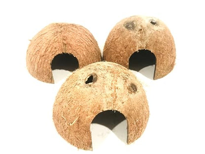 Durable 3 pc Coconut Hide, Natural Home for Guppies, Tetras, Betta Fish, Shrimp, Pleco, Perfect for Your Aquarium, Perfect Hideout for Spiders, Toad, Lizard and Small Crabs, 3 Half Shells (Small)