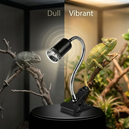 Reptile Heat Lamp, Black, with 13.8 in Flexible Gooseneck, Timed Dimming Switch, US Connector, Sturdy Plastic Clip, for Lizards, Tortoises, and Other Terrarium Animals