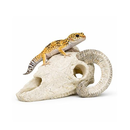 Reptile Hide Cave Decoration, Ram Skull Style Resin Shelter for Gecko, Lizard, Snake and Amphibian, Natural Habitat Decor for Small Reptiles