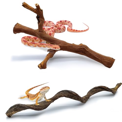 BNOSDM 2PCS Reptile Wood Branches, Snake Climbing Branch, Bearded Dragon Climbing Accessories, Lizard Habitat Decor, Terrarium Tree Trunk Ornament for Gecko Frog Chameleon Spider - color: 1 Grapewood Branch + 1 Mountain Vine Branch