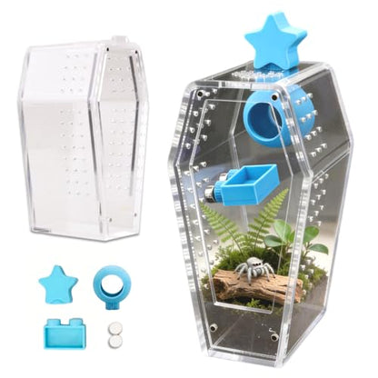 Jumping Spider Enclosure Jumping Spider Enclosure Kit Desktop Habitat Small Reptile Glass Terrarium Insect Accessory Set with Water Container Hiding Area(Blue) - color: Blue