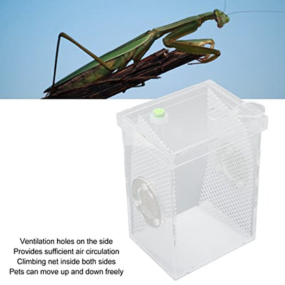 Reptile Enclosure Tank, Mini Acrylic High Transparency Moisturizing Reptile Breeding Box, Acrylic Reptile Cage Terrarium Tank for Tarantula Scorpion Sling Isopods(L)