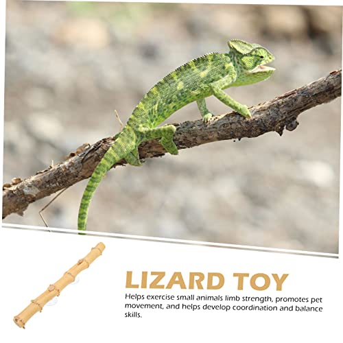 GALPADA Bearded Dragon Climbing Natural and Grapevine Wood Branch Rack for Lizard Habitat for Reptiles Geckos Chameleons and Snakes