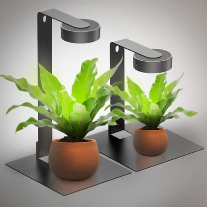 ONF Mist Black Desktop Planted Lighting (2 Mist O Lights and 2 Stand Kits Included), Colorfull LED Light for Indoor Plants, Brightness Dimmable Full Spectrum Grow Light, Terrarium Light
