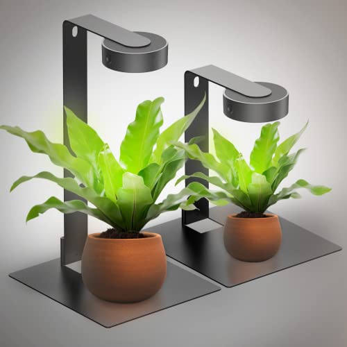 ONF Mist Black Desktop Planted Lighting (2 Mist O Lights and 2 Stand Kits Included), Colorfull LED Light for Indoor Plants, Brightness Dimmable Full Spectrum Grow Light, Terrarium Light