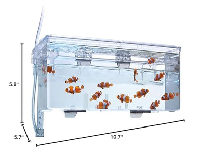 Fluval Multi-Chamber Holding and Breeding Box, Large – Up To 3 Separate Housing Compartments - size: Large